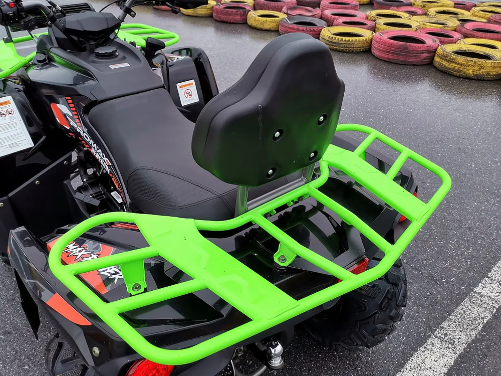 Квадроцикл PROMAX RENEGADE 280 WINCH PRO (2025)