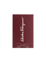 SALVATORE FERRAGAMO men 100ml edt
