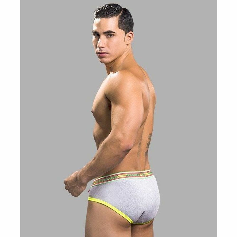 Мужские трусы брифы серые Andrew Christian Brief Grey
