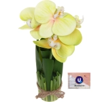 Цветочная композиция «Весенняя рапсодия» 19*27см Орхидея желтая