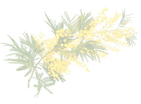 Картинка с текстом