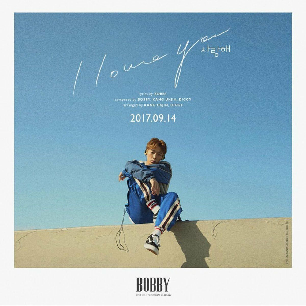 Альбом iKON Bobby - Love And Fall 1st Solo Album 2 Version SET