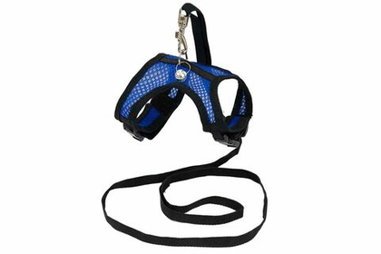 ДАРЭЛЕНД Шлейка текстильная+поводок АЭРО №3 для шиншилл/хорьков (3D-сетка), синяя