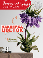 Наклейка декоративная "Рябчик императорский Фиолетовый"