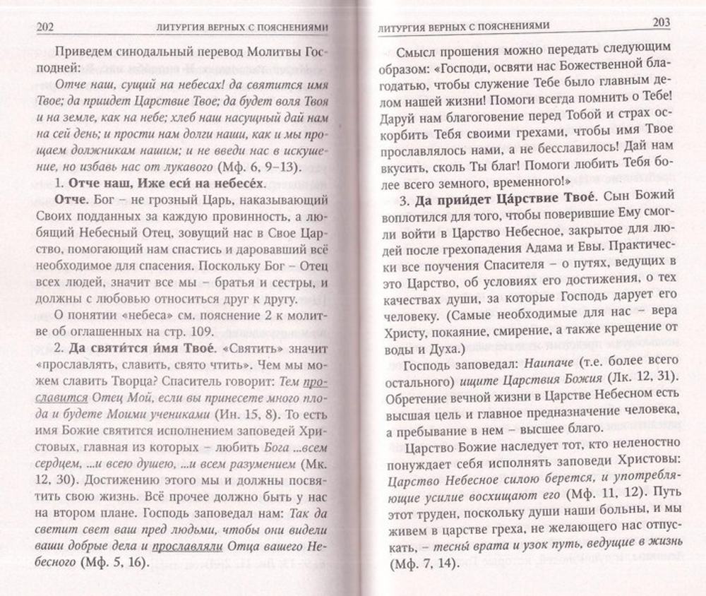 Божественная литургия святителя Иоанна Златоуста с пояснениями