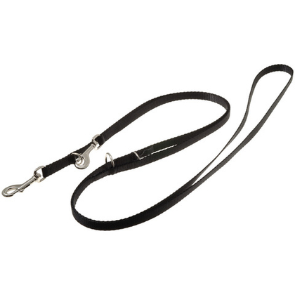 V.I.PET Поводок-перестяжка нейлоновый 10 мм, длина 2 метра