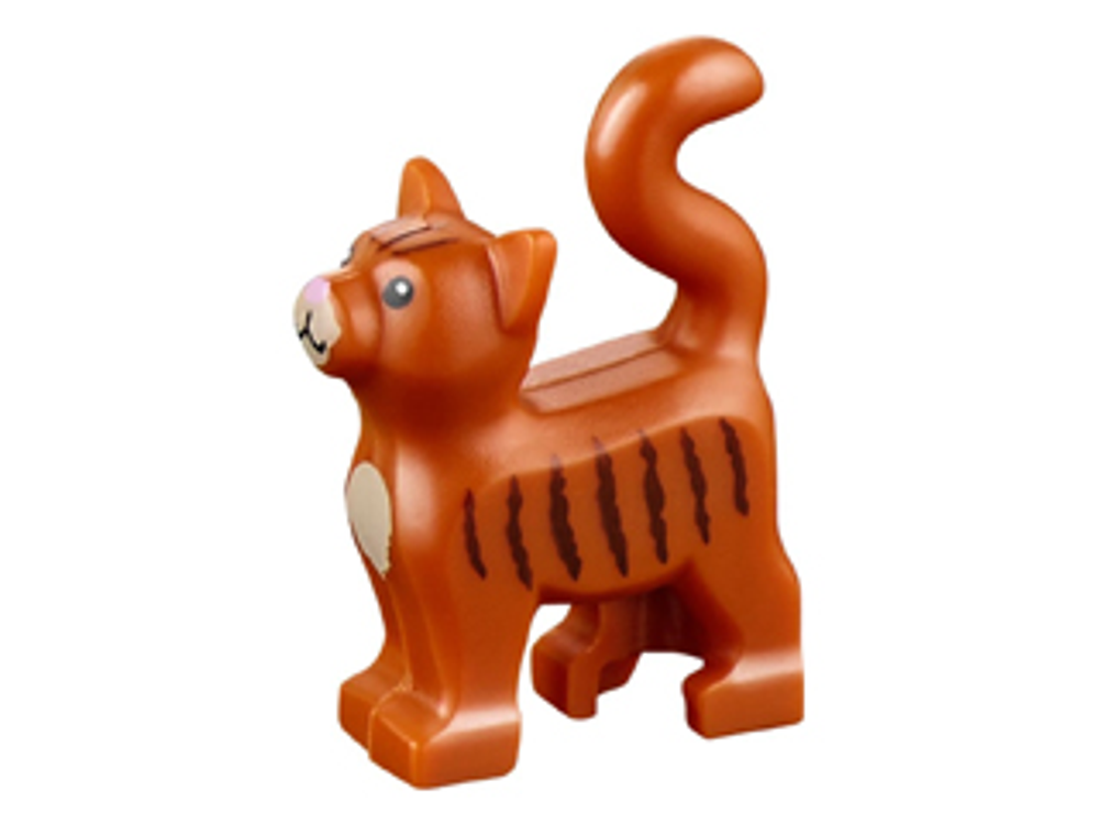Кот рыжий