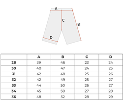 Шорты мужские Dickies Cobden Short
