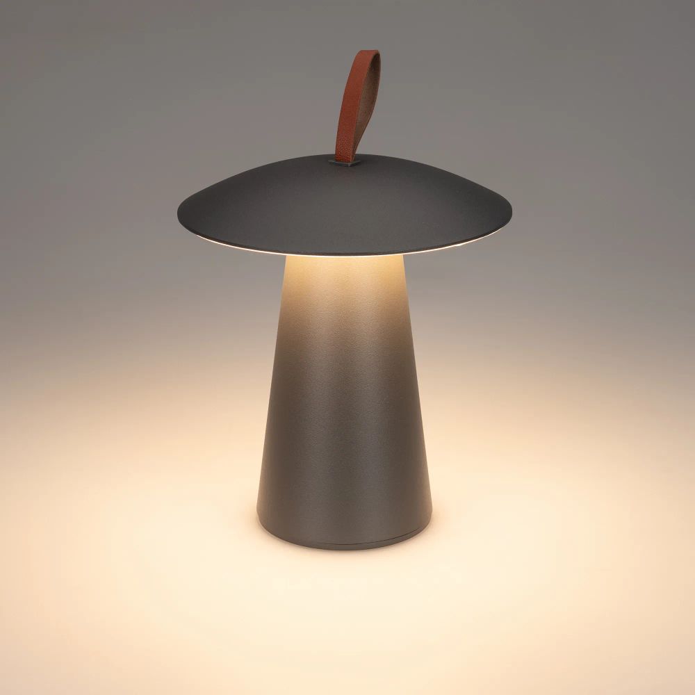 Светильник SP-PATIO-TAB-2W Warm3000 (GR, 127 deg) (Arlight, IP54 Металл, 2 года) 031628