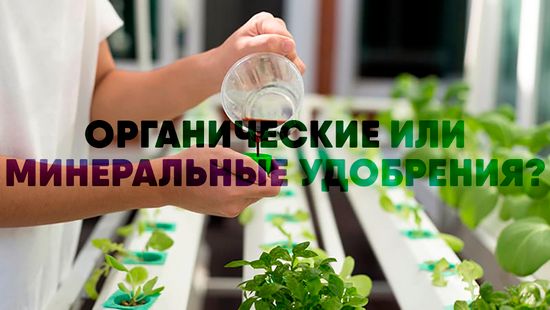 Органика или минералка? Как подобрать удобрения?