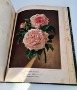 "Nestel`s Rosengarten. [  Сад роз Нестела]". E. Schweizerbartsche Verlagshandlung. 1869г.