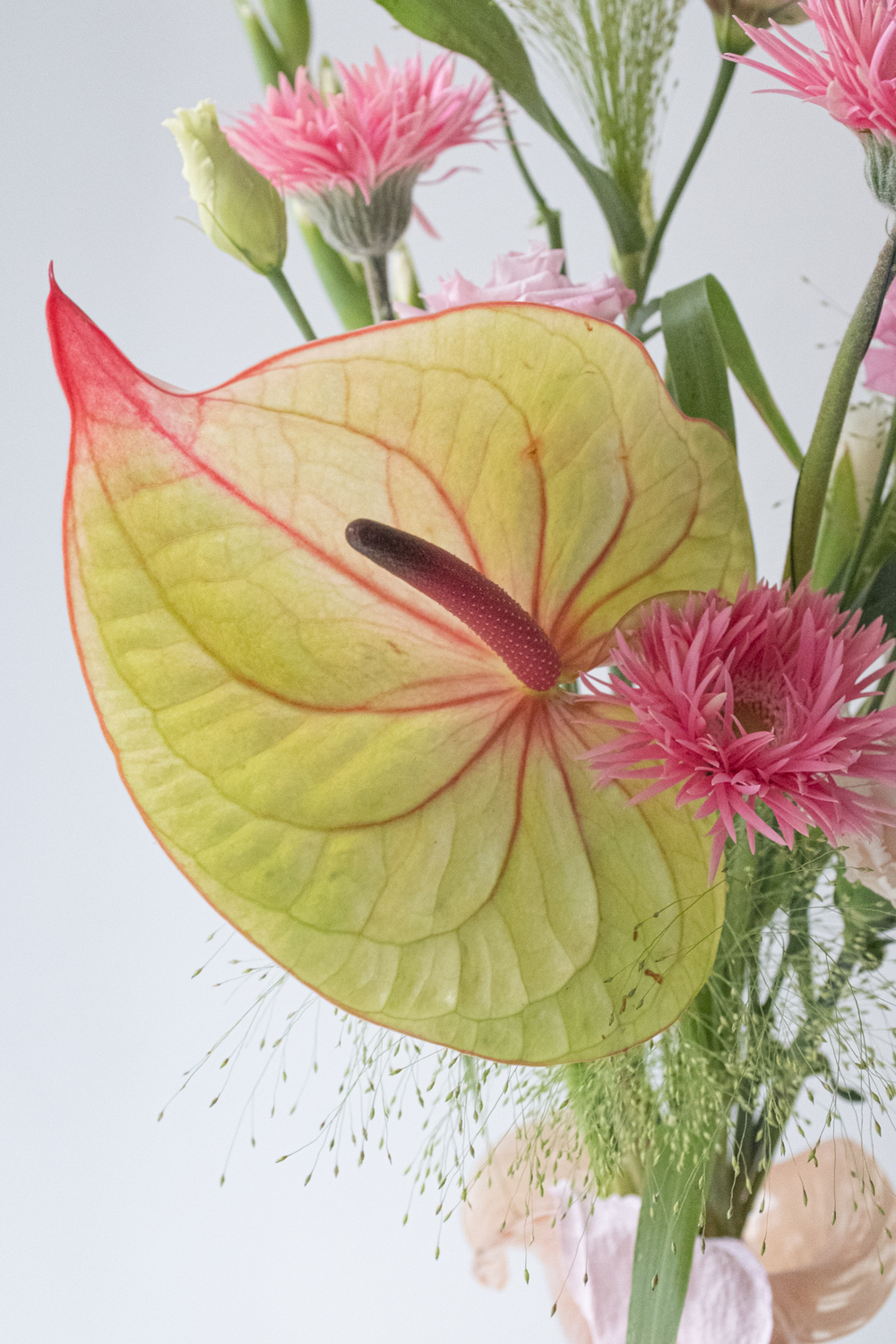 антуриум в букете