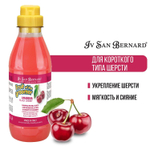 ISB Fruit of the Groomer Black Cherry Шампунь для короткой шерсти с протеинами шелка 500 мл