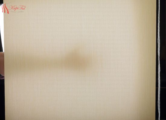 Рулонная штора Parma (бежевый)