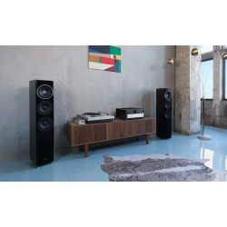 Интегральный усилитель Technics SU-R1000EE-K Black