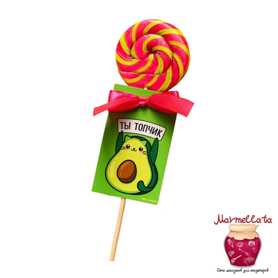 Леденец на палочке 15 гр. "Ты топчик"