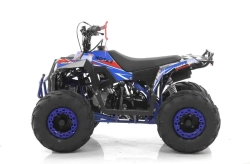 Квадроцикл MOTAX GRIZLIK A110