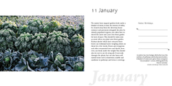 A Year in the Garden. 365 Inspirational Gardens and Garden Tips