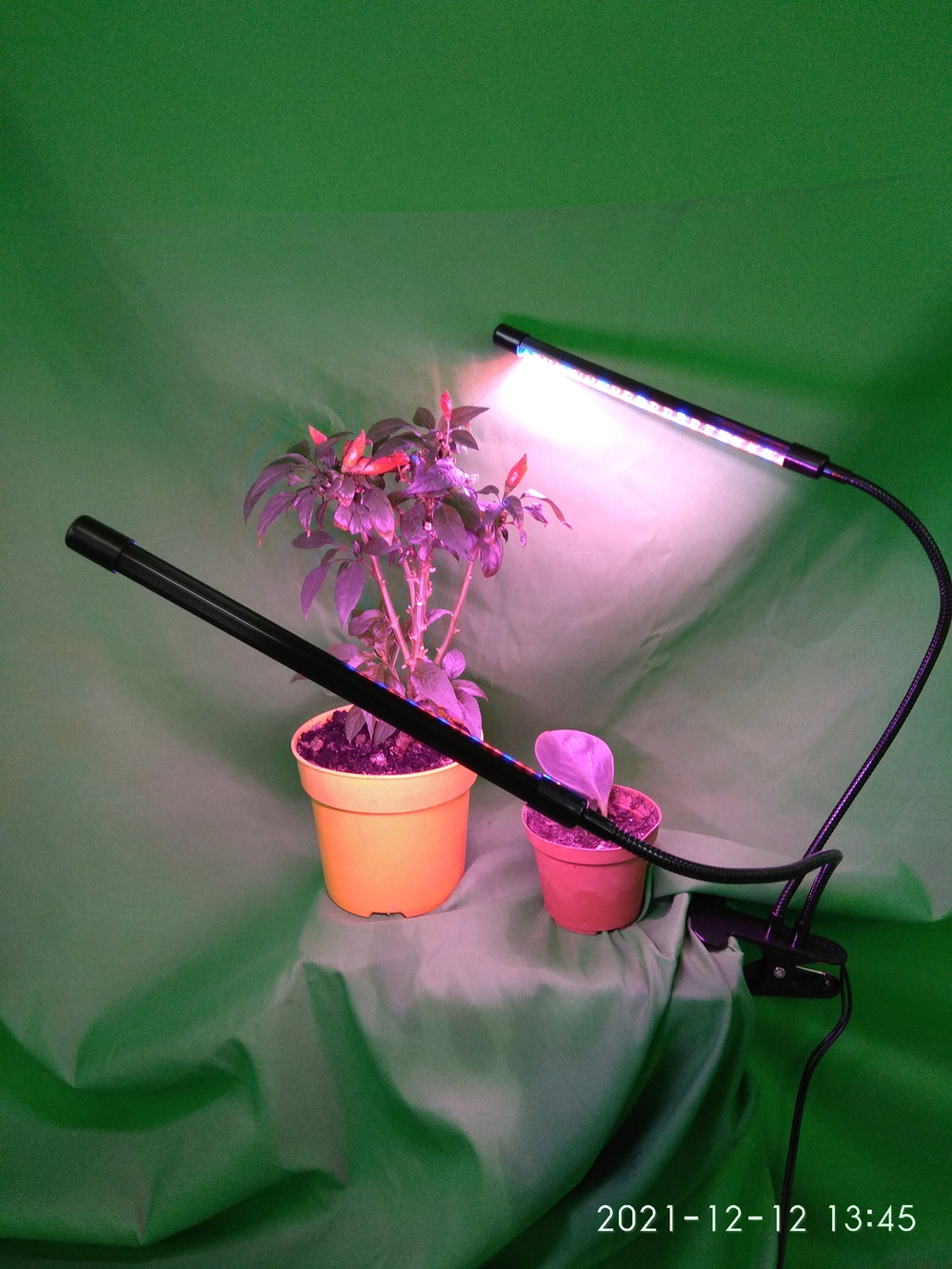 Фито-лампа "Стриж" для выращивания растений (СЕЗОННАЯ СКИДКА)
