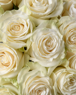 Монобукет белый