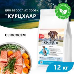 Корм сухой для взрослых собак породы Курцхаар, премиум полнорационный комплекс, с лососем, 12 кг, QUATTRO