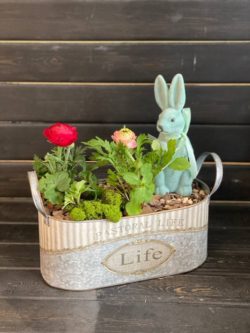 Минисад с ранункулюсами с зайчиком