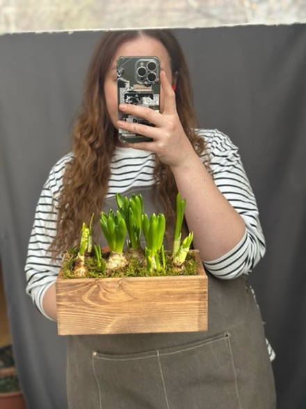 Hot garden offer #01p