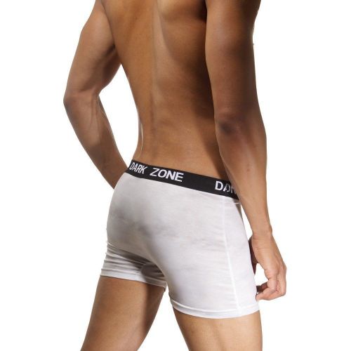 Трусы мужские боксеры с 3D принтом DARKZONE DZN1019