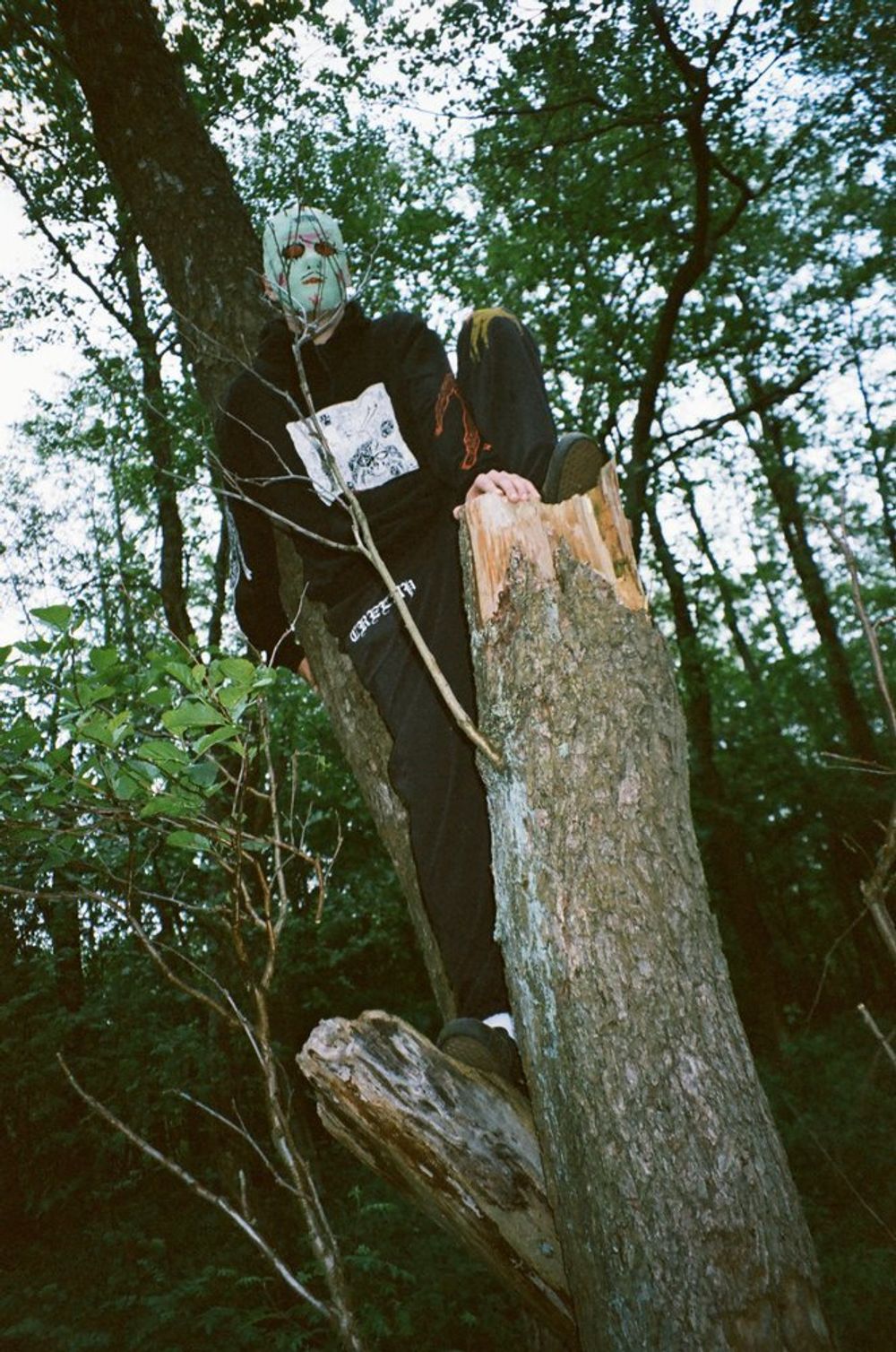 Худи Алавир