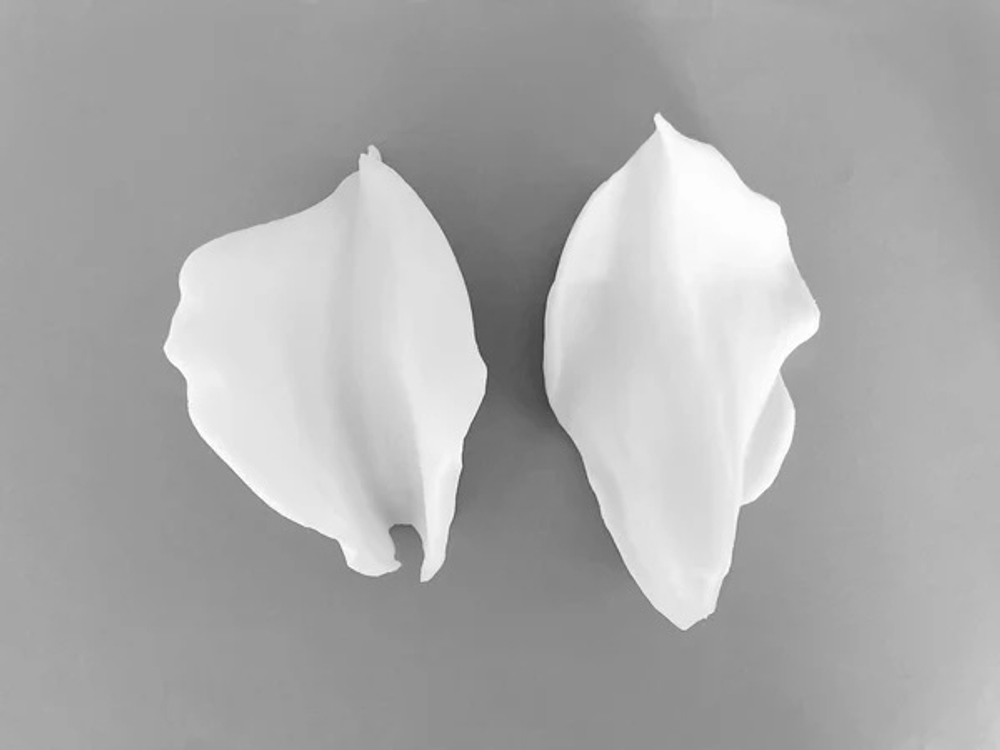 Вайнер лепестков Каллы