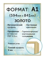 Металлическая рамка А1 (594х841 мм)