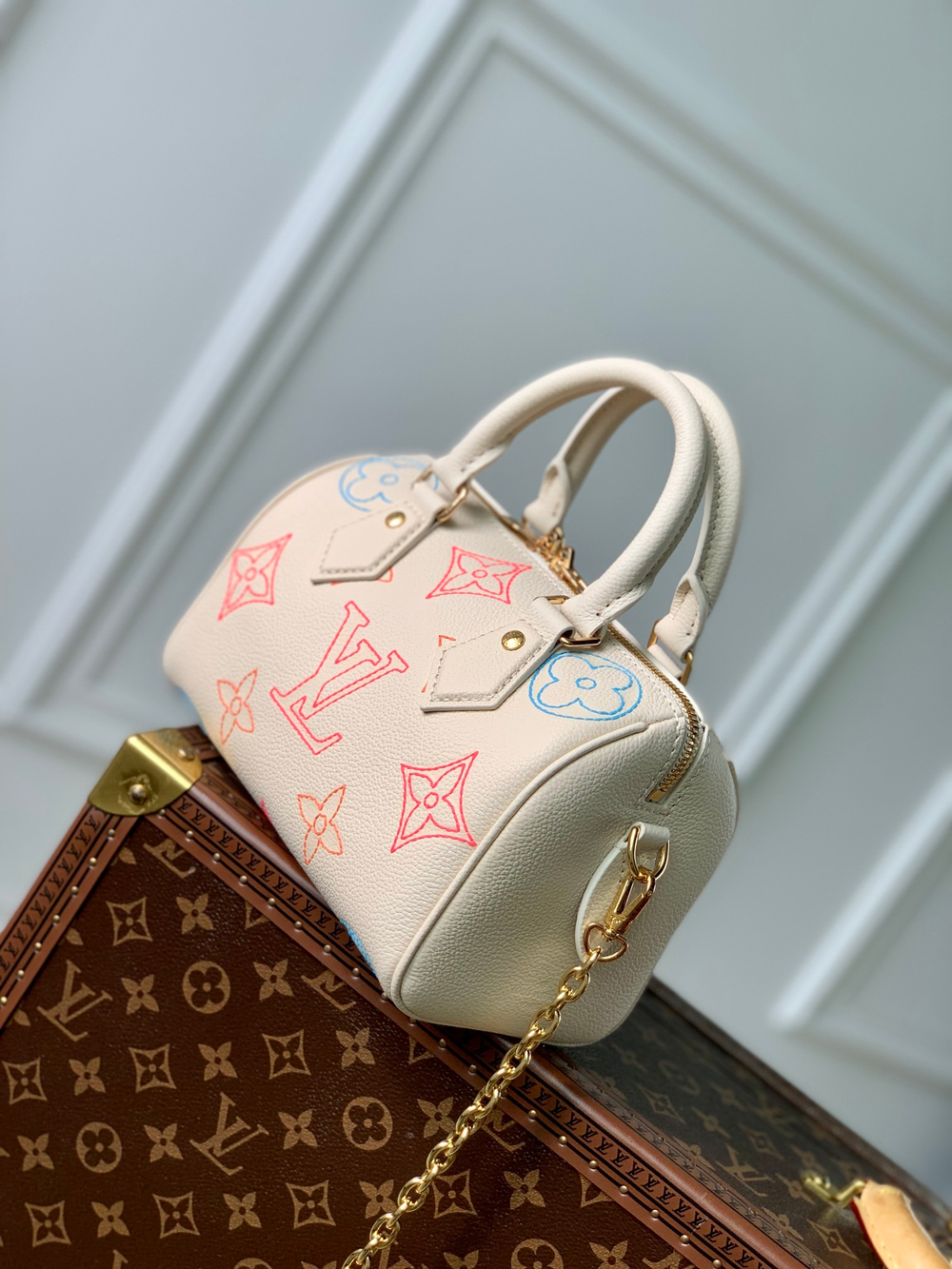 Louis Vuitton Speedy 20