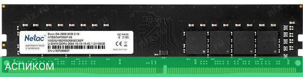 Оперативная память Netac Basic 16GB DDR4 PC4-25600 (NTBSD4P32SP-16)