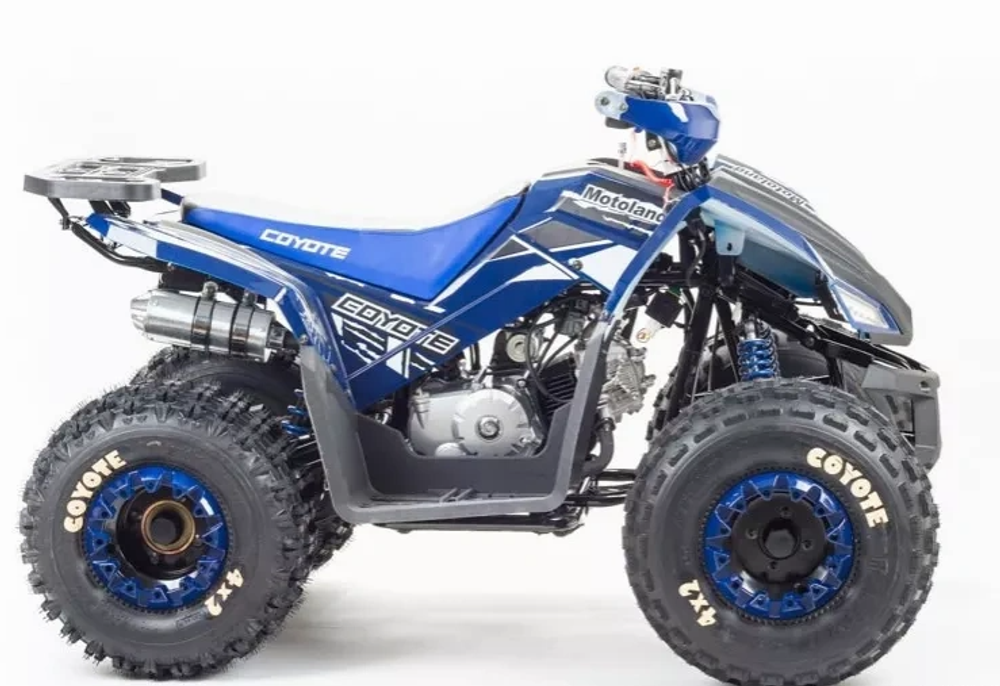 Квадроцикл MOTOLAND (МОТОЛЕНД) 125 COYOTE