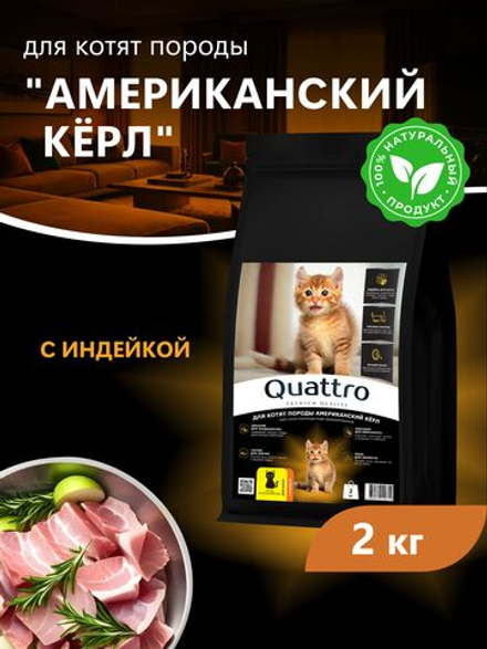 Корм сухой для котят породы Американский кёрл, с индейкой, 2 кг, QUATTRO
