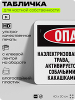Табличка прикольная для частной территории "Опасно, наэлектризованная трава активируется собачьими какашками", на дом, 40х30 см, Silver Plane x Айдентика Технолоджи
