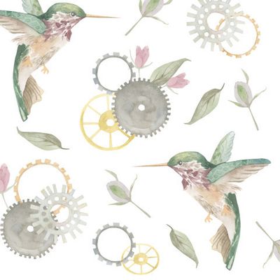 Колибри белый фон