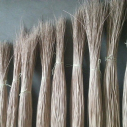 Прут ивовый очищенный Арт№ SP250