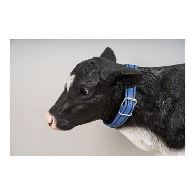 Ошейник для КРС маркировочный с ременной застежкой, ширина 40 мм, длина 130 см, цвет васильково-черный