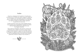 Hachette  раскраска по номерам  Cristaux