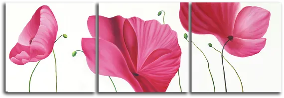 Модульная картина "Финеза"