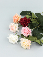 Роза Фелиция силикон