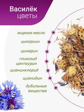 Василек синий