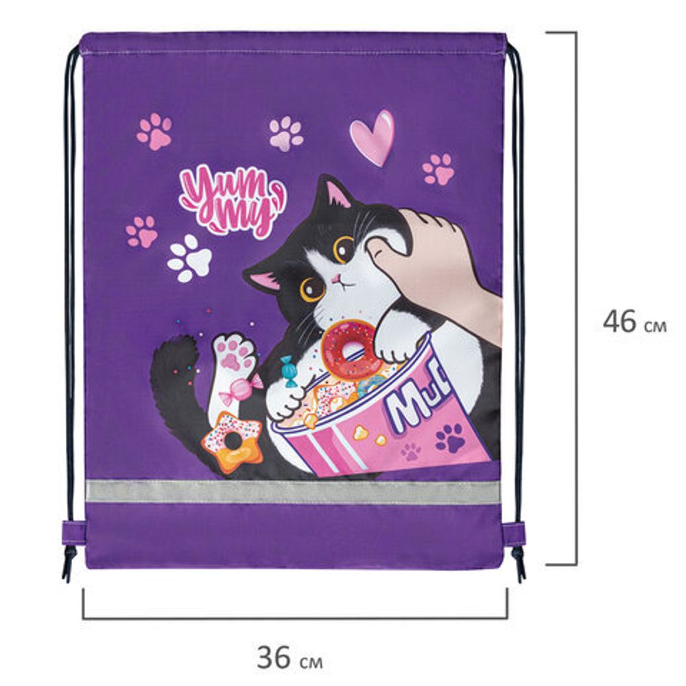 Мешок для обуви BRAUBERG KIDS, с петлей, светоотражающая полоса, 46х36 см, Sweet cheeks, 272390