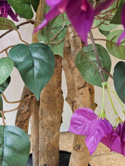 Искусственная Бугенвиллия 110см в кашпо