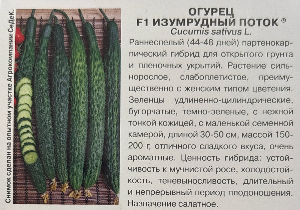 Огурец Изумрудный Поток F1 0,2 г СМО-78