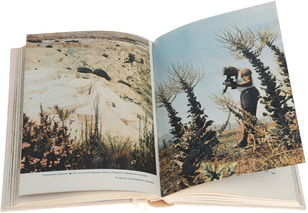 Перевернутый полумесяц