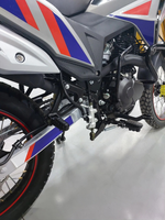 Эндуро 250 кубов ENDURO GTS250 172 FMM PR250