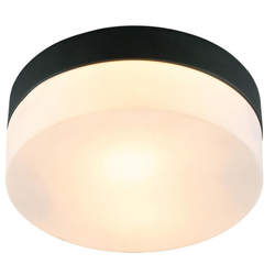 Накладной светильник Arte Lamp A6047PL-1BK