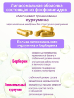 Липосомальный куркумин БЕРБЕРИН для ПОХУДЕНИЯ
